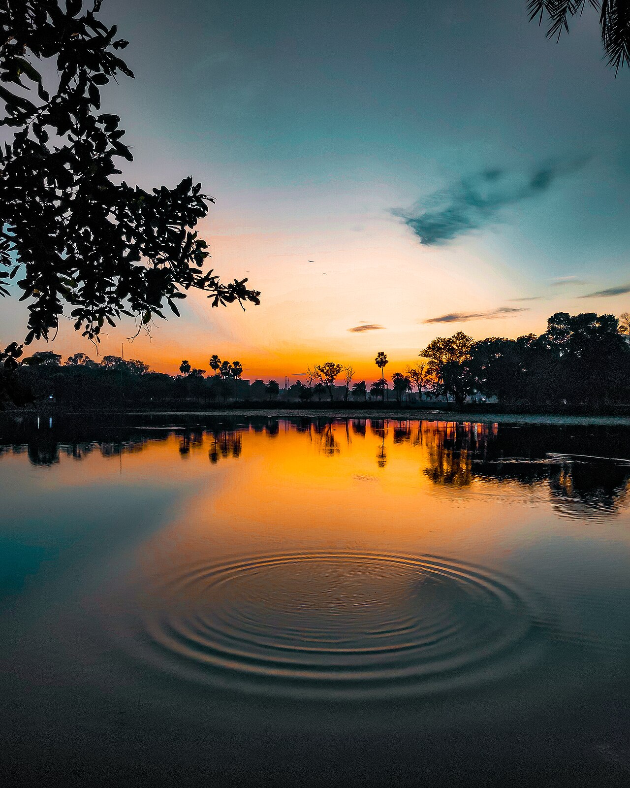 Hazaribagh Jheel lake taxi service